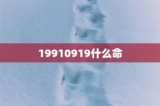19910919什么命