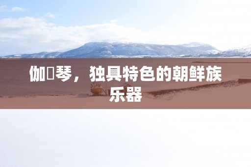 伽倻琴，独具特色的朝鲜族乐器