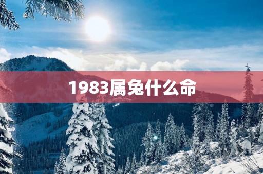 1983属兔什么命