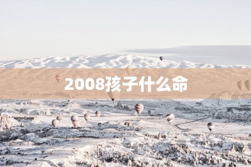 2008孩子什么命
