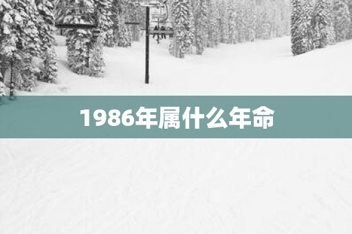 1986年属什么年命