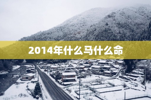 2014年什么马什么命
