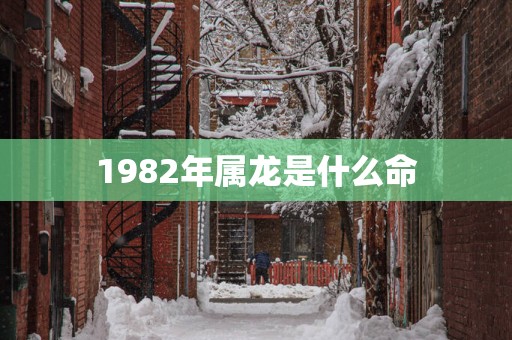 1982年属龙是什么命