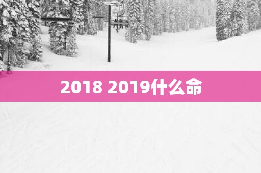 2018 2019什么命