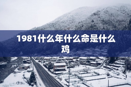 1981什么年什么命是什么鸡