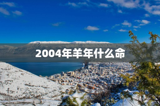 2004年羊年什么命