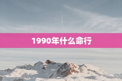 1990年什么命行