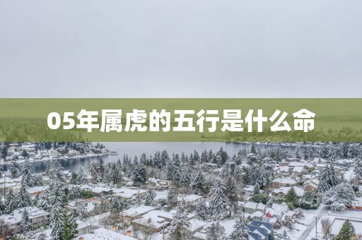 05年属虎的五行是什么命