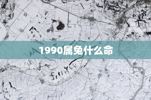 1990属兔什么命