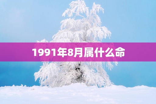 1991年8月属什么命