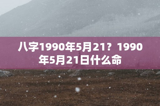 八字1990年5月21？1990年5月21日什么命