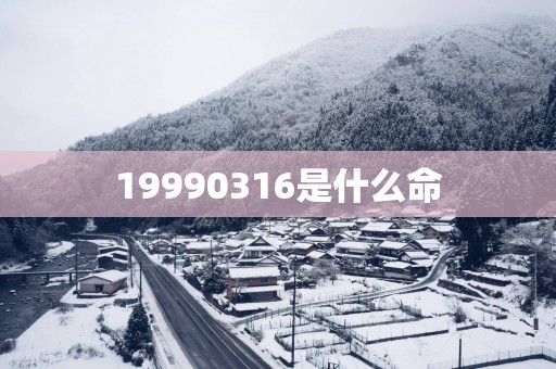 19990316是什么命