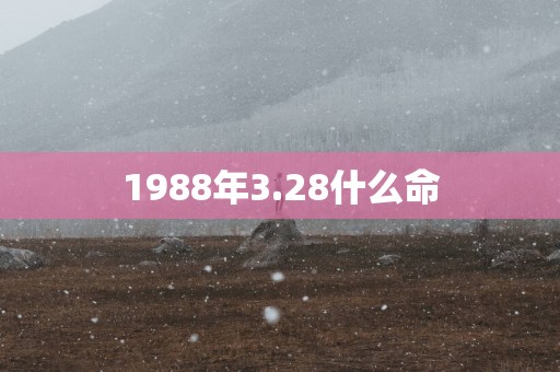 1988年3.28什么命