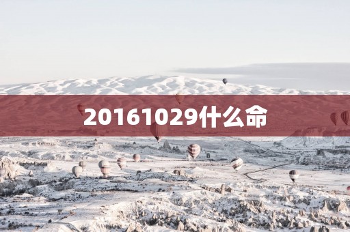 20161029什么命