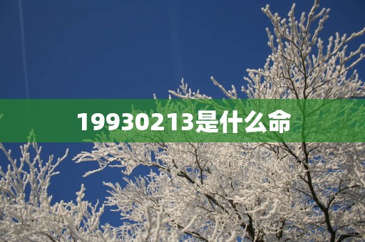19930213是什么命