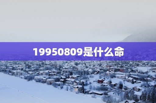 19950809是什么命