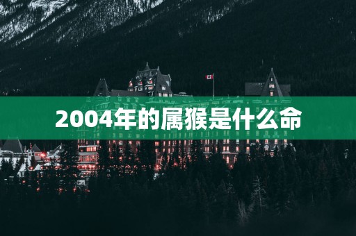 2004年的属猴是什么命