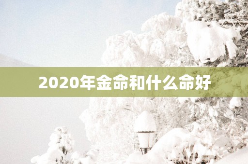 2025年金命和什么命好