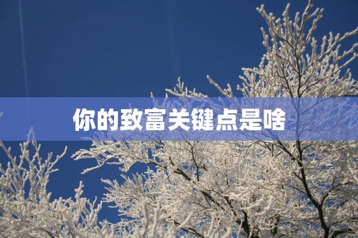你的致富关键点是啥