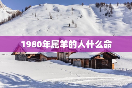 1980年属羊的人什么命