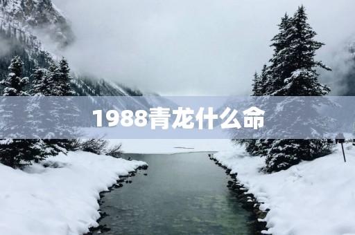1988青龙什么命