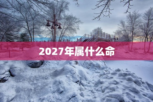 2027年属什么命