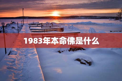 1983年本命佛是什么