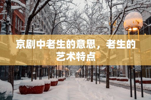 京剧中老生的意思，老生的艺术特点