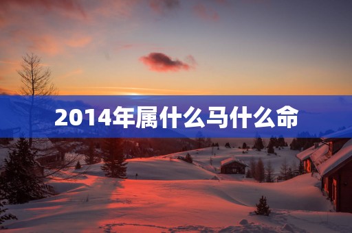 2014年属什么马什么命