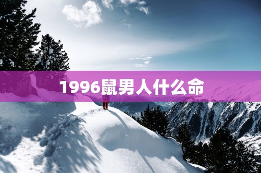 1996鼠男人什么命