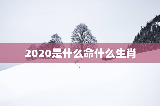 2025是什么命什么生肖