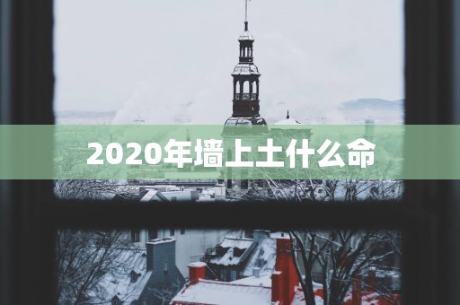 2025年墙上土什么命