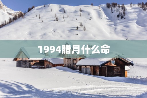 1994腊月什么命