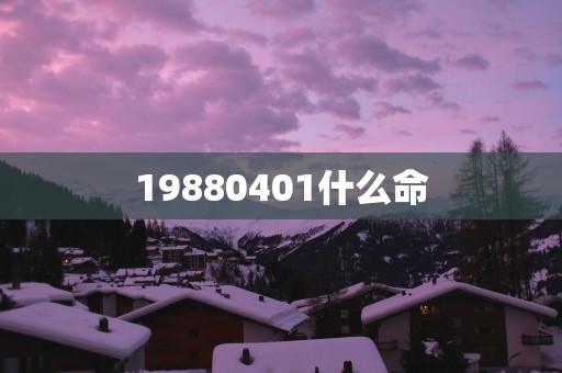 19880401什么命