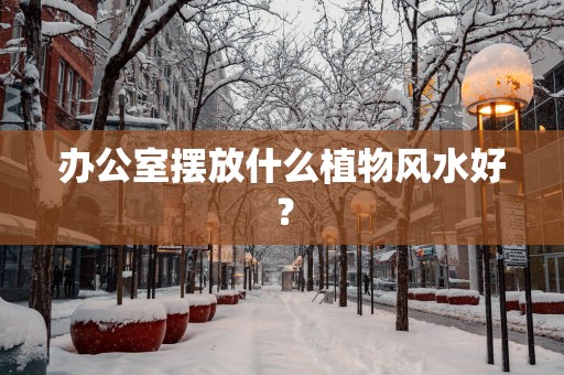 办公室摆放什么植物风水好？