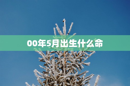 00年5月出生什么命