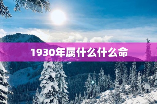 1930年属什么什么命