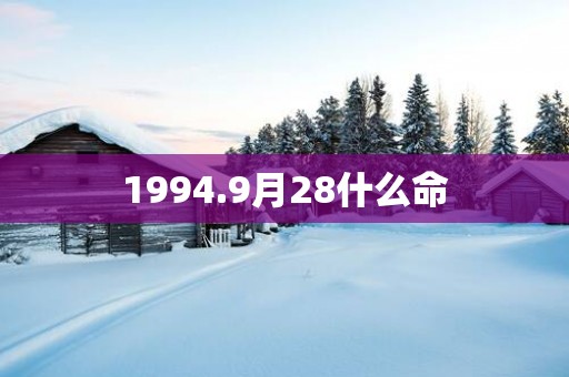1994.9月28什么命