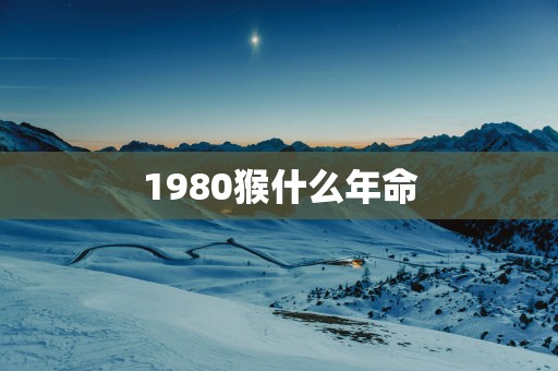 1980猴什么年命