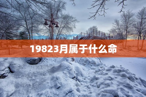 19823月属于什么命