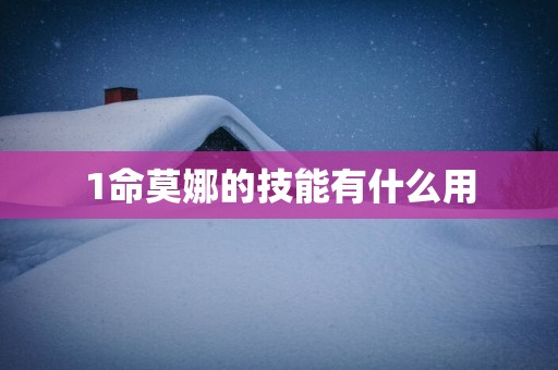 1命莫娜的技能有什么用
