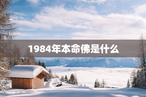 1984年本命佛是什么