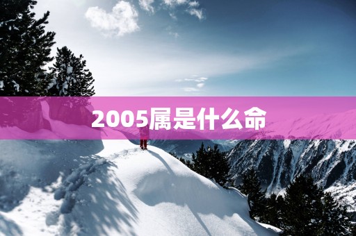 2005属是什么命