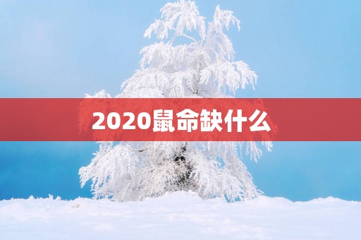 2025鼠命缺什么