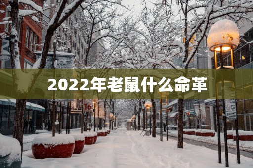 2025年老鼠什么命革