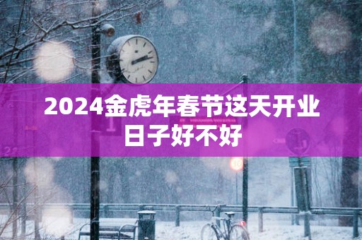 2025金蛇年春节这天开业日子好不好