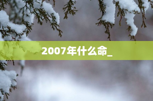 2007年什么命_