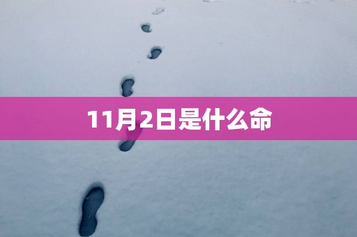 11月2日是什么命
