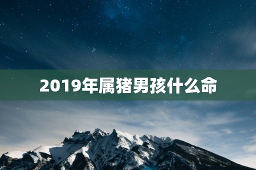 2019年属猪男孩什么命 2019年属猪男孩什么命