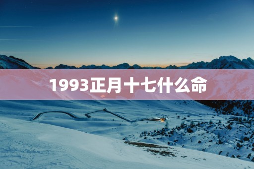 1993正月十七什么命
